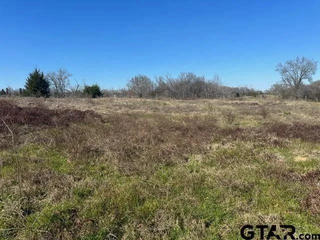 Mineola, Wood County, TX Undeveloped Land, Homesites for sale Property ID: 418850865
