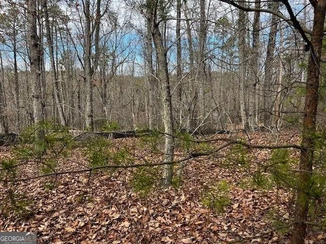 Baldwin, Banks County, GA Undeveloped Land, Homesites for sale Property ID: 418835268
