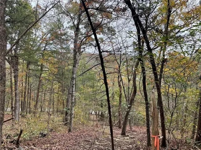 Holiday Island, Carroll County, AR Undeveloped Land, Homesites for sale Property ID: 418866690