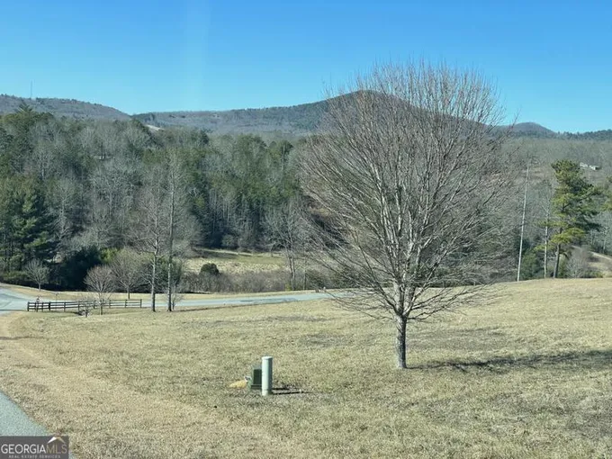 0 MADELINE WAY, Blairsville, GA 30512 Single Family Residence For Sale  MLS# 10244536