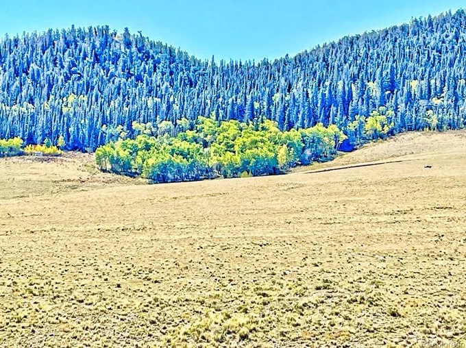 423 Rainbow Dr, Como, CO 80432 - MLS 8829265 for Sale