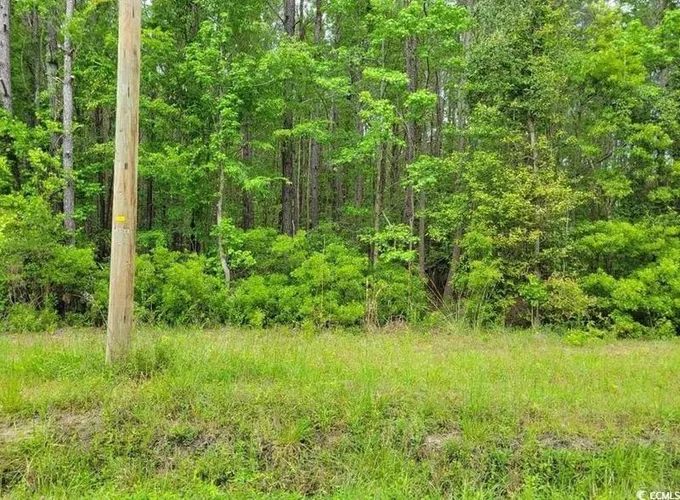 Conway, Horry County, SC Undeveloped Land, Homesites for sale Property ID: 418932990