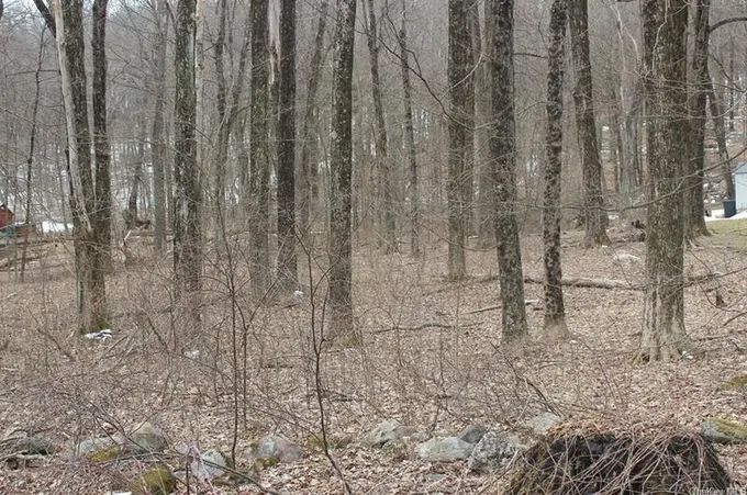 000 Route 343, Millbrook, NY 12522 - MLS H6283443 for Sale