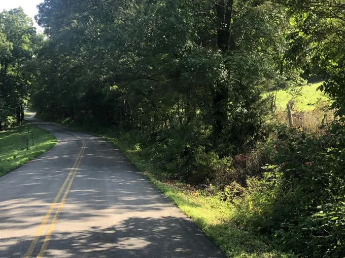 0 MURPHY HOLLOW ROAD TRACT 1, Vanleer, TN 37181 Land For Sale  MLS# 2616946