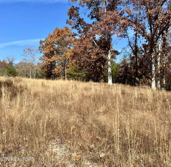 1425 SHADY LANE RD, Dayton, TN 37321 Land For Sale  MLS# 1246707 for Rent