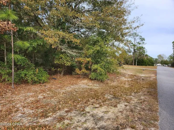 Defuniak Springs, Walton County, FL Undeveloped Land, Lakefront Property, Waterfront Property, Homesites for sale Property ID:
