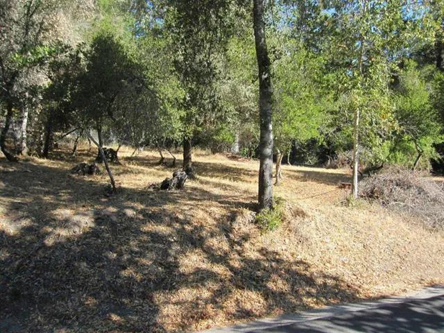 910 PINECREST DR, BOULDER CREEK, CA 95006 Land For Sale  MLS# ML81951058