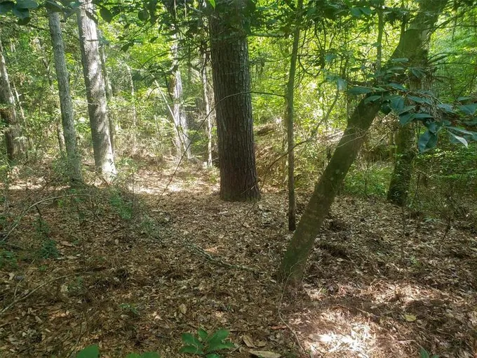Off County Road 2777, Woodville, TX 75979 for Sale
