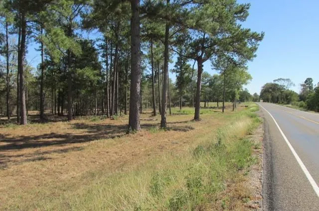 1152 Fm 247 Rd, Huntsville, TX 77320 for Sale