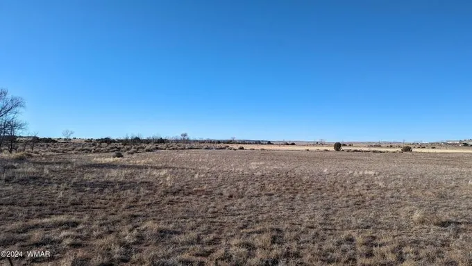 St Johns, Apache County, AZ Undeveloped Land for sale Property ID: 418689842