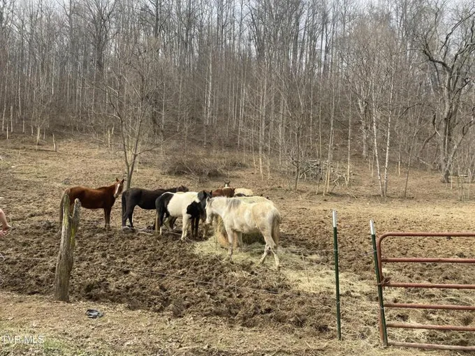 00 FOREST VIEW RD N ROAD, Kingsport, TN 37660 Land For Sale  MLS# 9961788