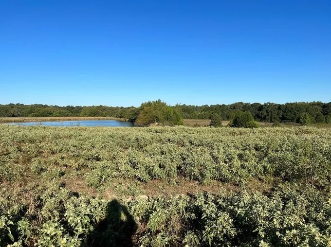 1111 Vz County Road 1107, Canton, TX 75103 - MLS 20450404 for Sale