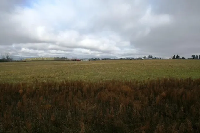 Lot 3 Fern Lane, Deer Park, WA 99006 for Sale