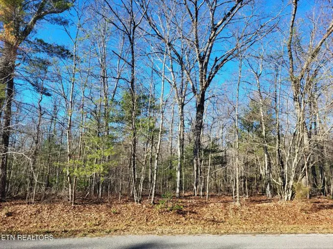 446 BEACHWOOD DR, Crossville, TN 38558 Land For Sale  MLS# 1251983 for Rent