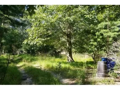 Pricketts Mill Rd for Sale