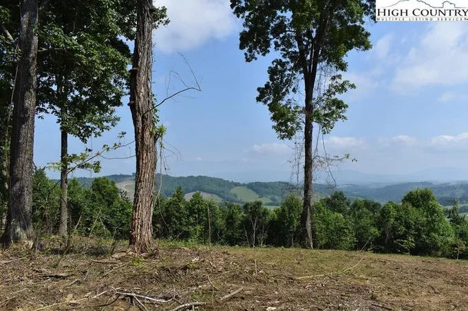 Tbd Little Fawn Ln, Sparta, NC 28675 - MLS 244538 for Sale