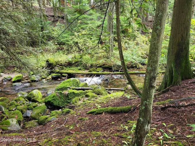 Bayview, Bonner County, ID Undeveloped Land, Homesites for sale Property ID: 418718079