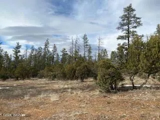 2180 W TORRE LAKE RD, Show Low, AZ 85901 Land For Sale  MLS# 249084