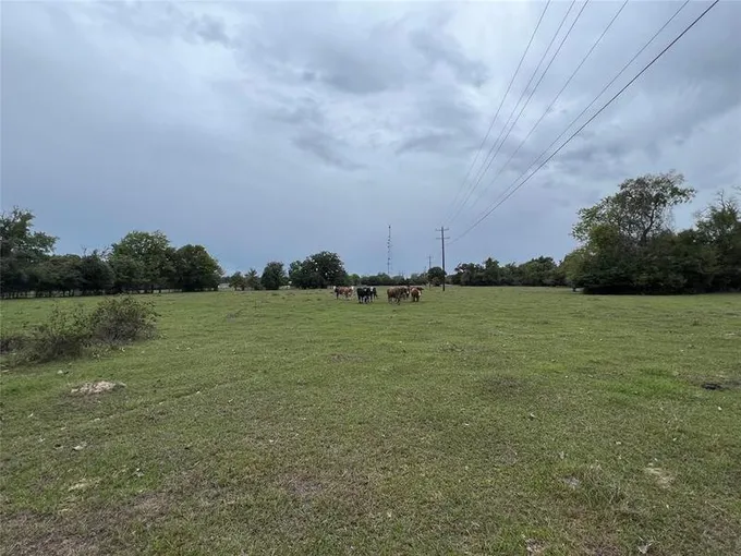 Lot 6 County Road 166, Iola, TX 77861 for Sale