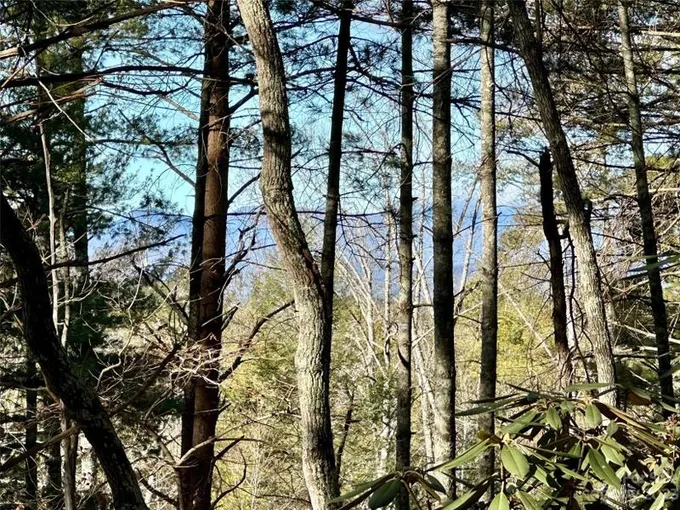 Nebo, Burke County, NC Undeveloped Land, Homesites for sale Property ID: 418781290