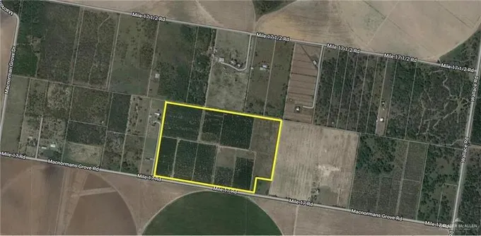 0 Mile 17 Road, Edinburg, TX 78541 for Sale