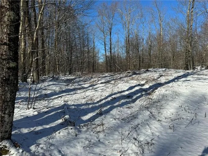 Lewis, Lewis County, NY Undeveloped Land for sale Property ID: 418642858