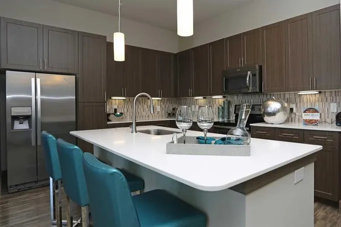 5454 Washington Ave #1302, Houston, TX 77007 for Rent