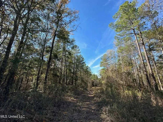 ANTIOCH SHILOH RD, Pelahatchie, MS 39145 Land For Sale  MLS# 4065089