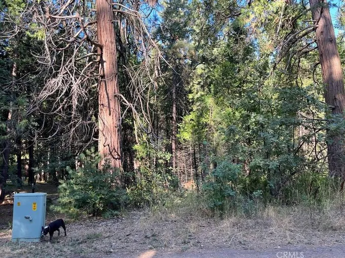 7083 Hites Cove Rd, Mariposa, CA 95338 - MLS MC23177641 for Sale