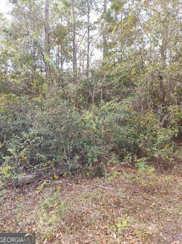 Lot # 26 George Bell Ct, Folkston, GA 31537 - MLS 20164819 for Sale
