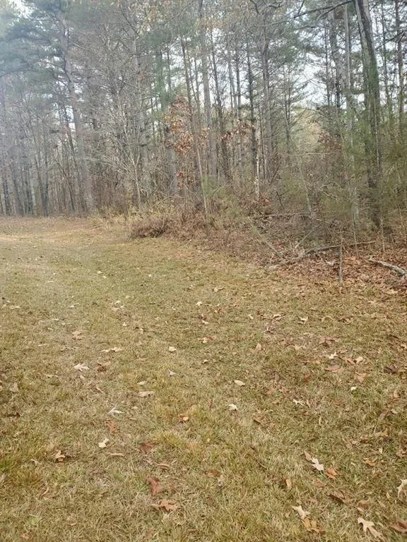 LOT 46 PRINCESS TREE WAY, Sunset, SC 29685 Land For Sale  MLS# 20269356