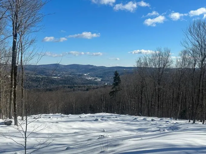 Wilmington, Windham County, VT Undeveloped Land for sale Property ID: 418613459
