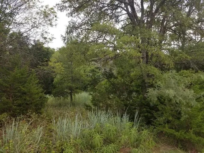 Whitney, Hill County, TX Undeveloped Land, Homesites for sale Property ID: 418541128