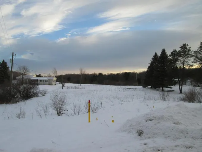 Atlanta, Montmorency County, MI Undeveloped Land for sale Property ID: 418782240