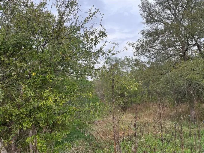 Lot 59-61 Valley Ln, Smithville, TX 78957 for Sale