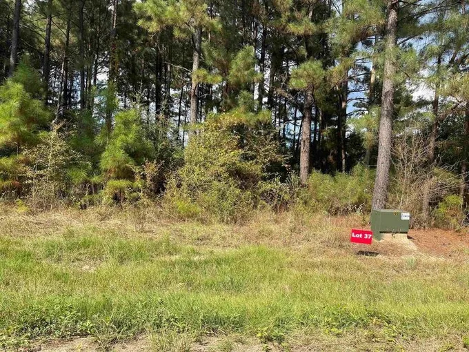 Tbd Lot 37 CR 2204 D & FM 1797, Tatum, TX 75691 for Sale