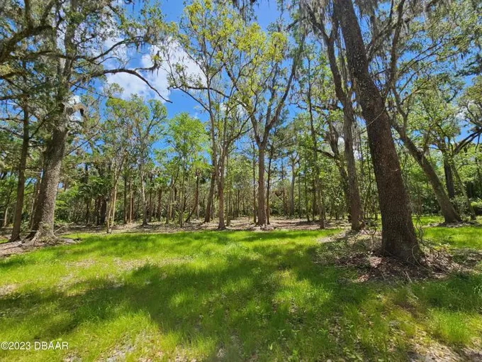 New Smyrna Beach, Volusia County, FL Homesites for sale Property ID: 418548989