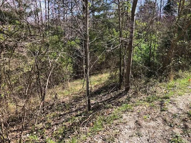 LOT 9 LIVINGSTON HWY, MONROE, TN 38573 Land For Sale  MLS# 225546