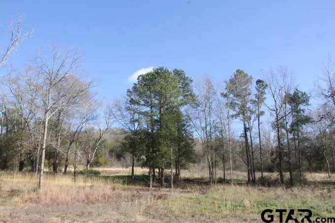 950 Stone Chimney Rd. (Lot 17 CR 3608), Bullard, TX 75757 for Sale