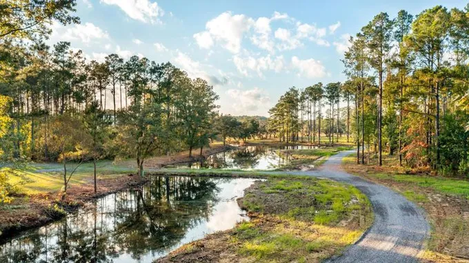 Hollywood, Charleston County, SC Undeveloped Land, Lakefront Property, Waterfront Property for sale Property ID: 418627445