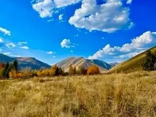 50 Desperado Drive, Hailey, ID 83333 for Sale