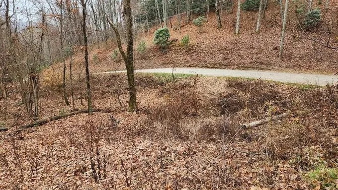 Franklin, Macon County, NC Undeveloped Land, Homesites for sale Property ID: 418689428