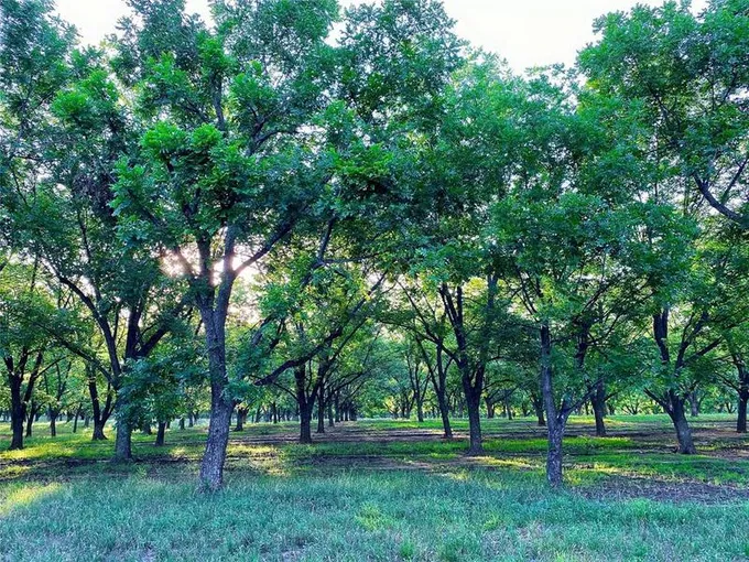 TBD2 FM 2318, Comanche, TX 76442 for Sale