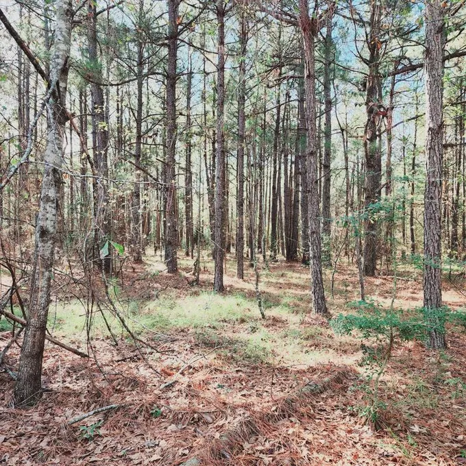 Wrens, Jefferson County, GA Undeveloped Land for sale Property ID: 418724293