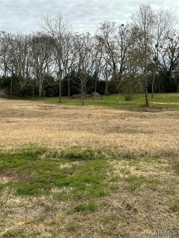 437 COUNTY ROAD 758, Enterprise, AL 36330 Single Family Residence For Sale  MLS# 549179