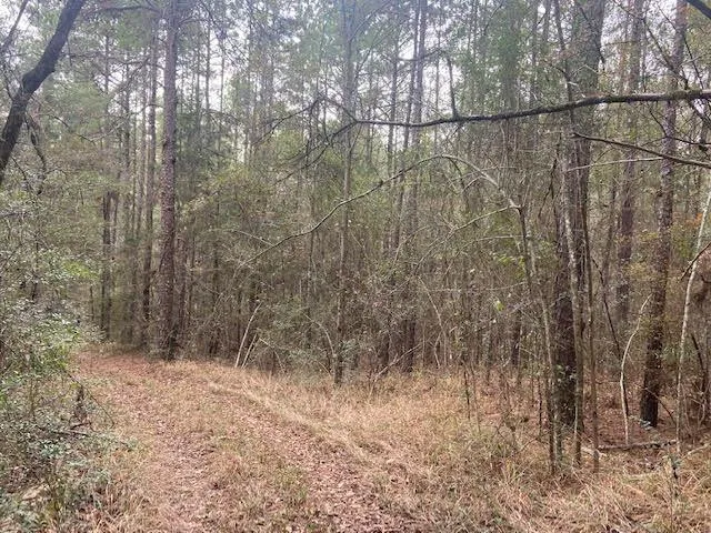 County Road 2502, Shubuta, MS 39360  MLS# 33483 for Sale