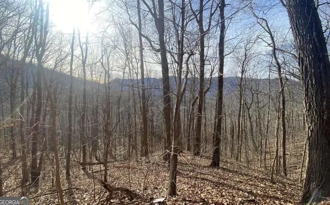 Tract 1 Caesar Gap Rd, Hiawassee, GA 30546 - MLS 20160591 for Sale