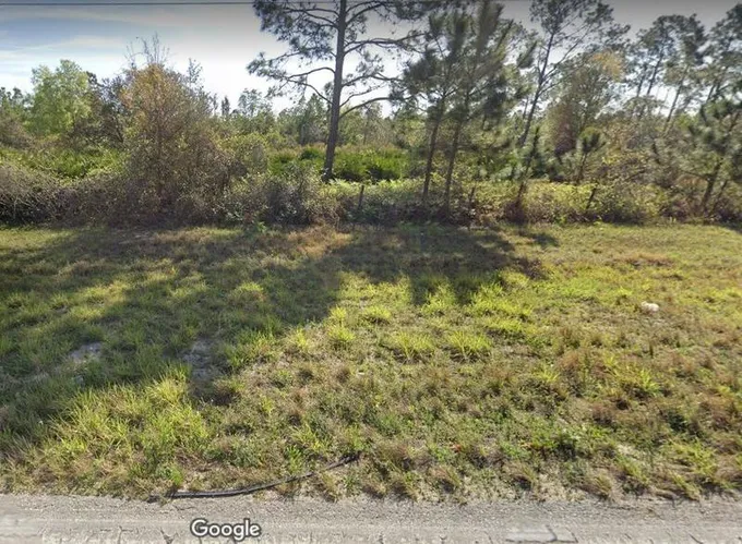 Polk City, Polk County, FL Undeveloped Land, Homesites for sale Property ID: 418876100