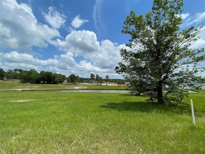 175 Peninsula Dr Dr, Livingston, TX 77351 for Sale