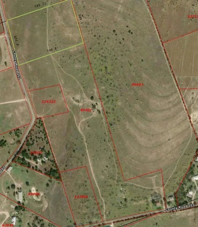 TBD COUNTY ROAD 202, Burnet, TX 78611 Land For Sale  MLS# 8541857